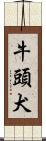牛頭犬 Scroll