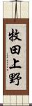 牧田上野 Scroll