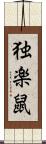 独楽鼠 Scroll