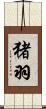 猪羽 Scroll