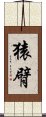 猿臂 Scroll