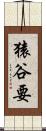 猿谷要 Scroll