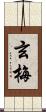 玄梅 Scroll
