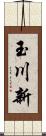 玉川新 Scroll