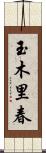 玉木里春 Scroll