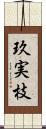 玖実枝 Scroll