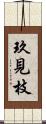 玖見枝 Scroll