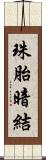珠胎暗結 Scroll
