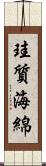 珪質海綿 Scroll