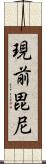 現前毘尼 Scroll