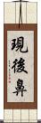 現後鼻 Scroll