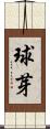 球芽 Scroll