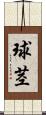 球茎 Scroll
