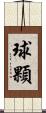 球顆 Scroll