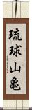 琉球山亀 Scroll