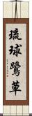 琉球鷺草 Scroll