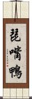 琵嘴鴨 Scroll