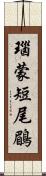 瑙蒙短尾鶥 Scroll