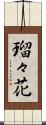 瑠々花 Scroll
