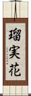 瑠実花 Scroll