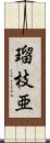 瑠枝亜 Scroll