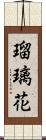 瑠璃花 Scroll