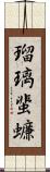 瑠璃蜚蠊 Scroll