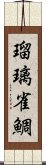 瑠璃雀鯛 Scroll