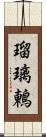 瑠璃鶇 Scroll