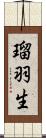 瑠羽生 Scroll
