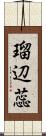 瑠辺蕊 Scroll