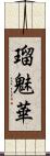 瑠魅華 Scroll