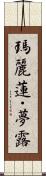 瑪麗蓮・夢露 Scroll