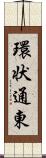 環状通東 Scroll
