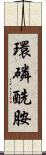 環磷酰胺 Scroll