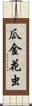 瓜金花虫 Scroll