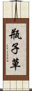 瓶子草 Scroll