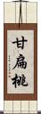 甘扁桃 Scroll