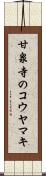 甘泉寺のコウヤマキ Scroll