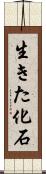 生きた化石 Scroll
