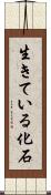 生きている化石 Scroll