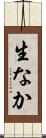 生なか Scroll