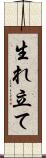 生れ立て Scroll