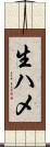 生ハメ Scroll