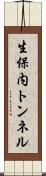 生保内トンネル Scroll