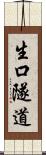 生口隧道 Scroll