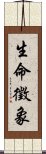 生命徵象 Scroll