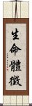 生命體徵 Scroll