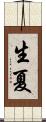 生夏 Scroll