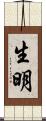 生明 Scroll